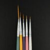 Nail Art Brush Set